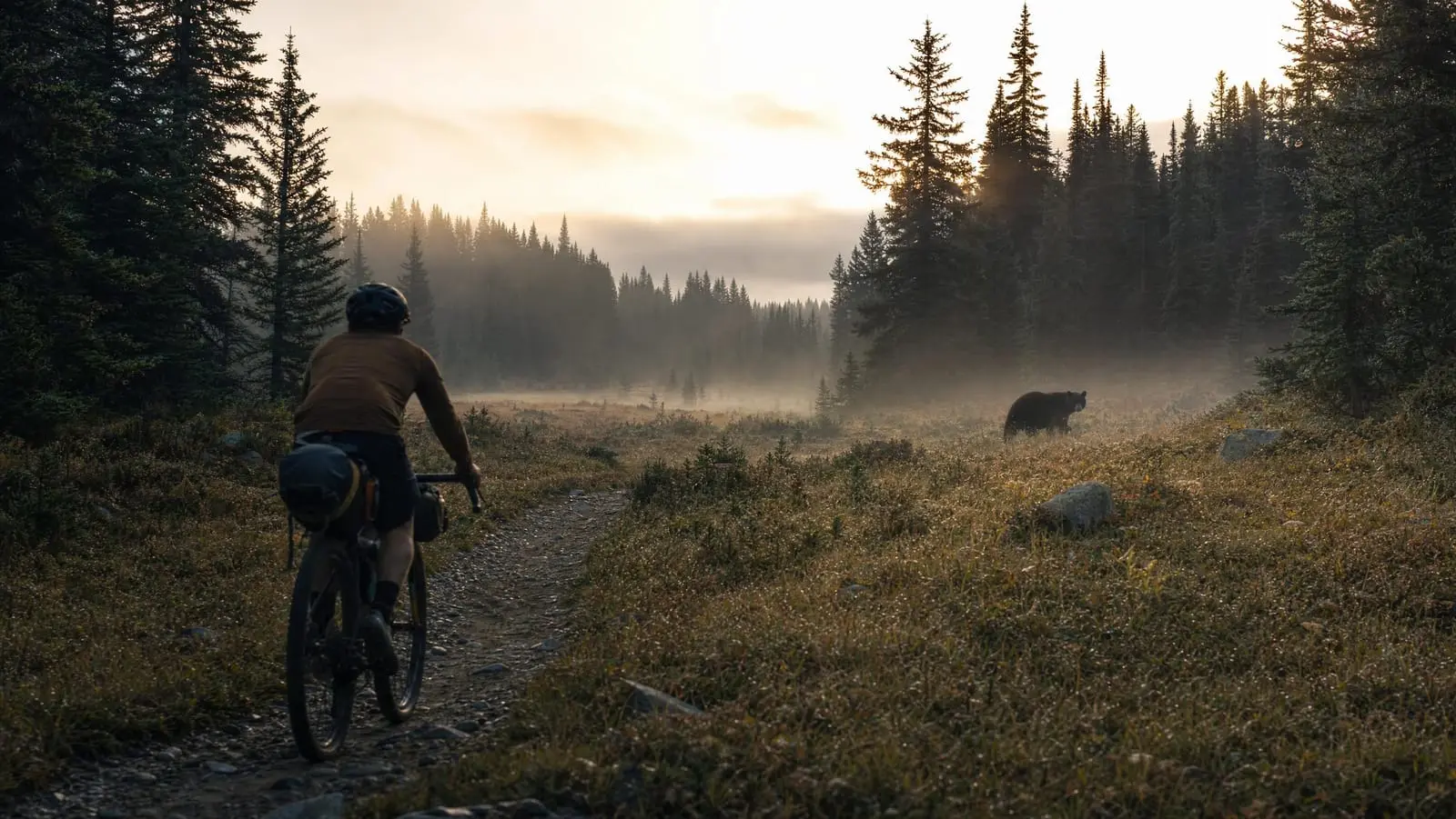 Cover Image for Wildlife Safety for Bikepackers: Bears, Dogs, and Backcountry Encounters